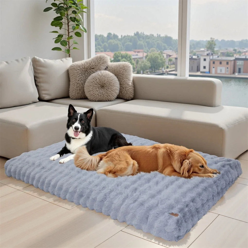 BINGOPAW Ultra-soft Dog Bed Pet Cozy Sleep Bed Cat Calming Bed