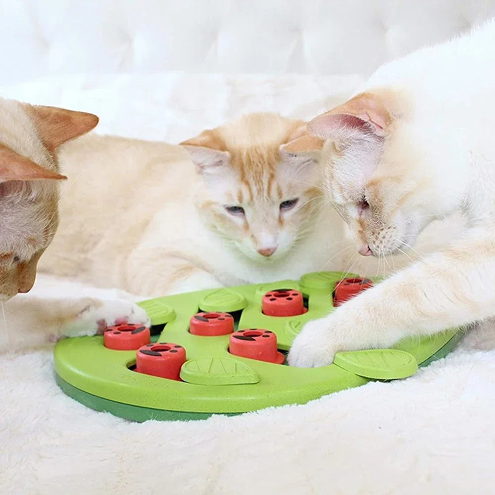 Rainy Day Puzzle & Play - Interactive Cat Treat Puzzle Cat Toys