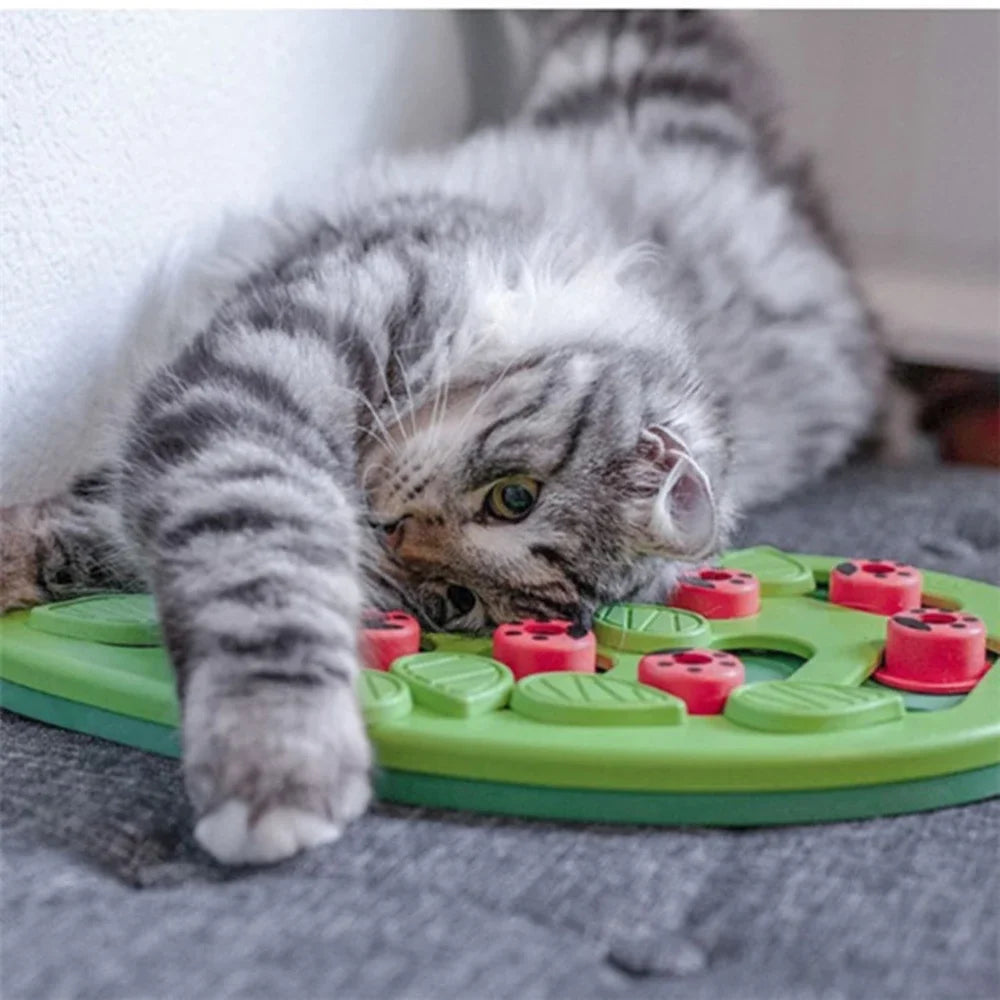 Rainy Day Puzzle & Play - Interactive Cat Treat Puzzle Cat Toys