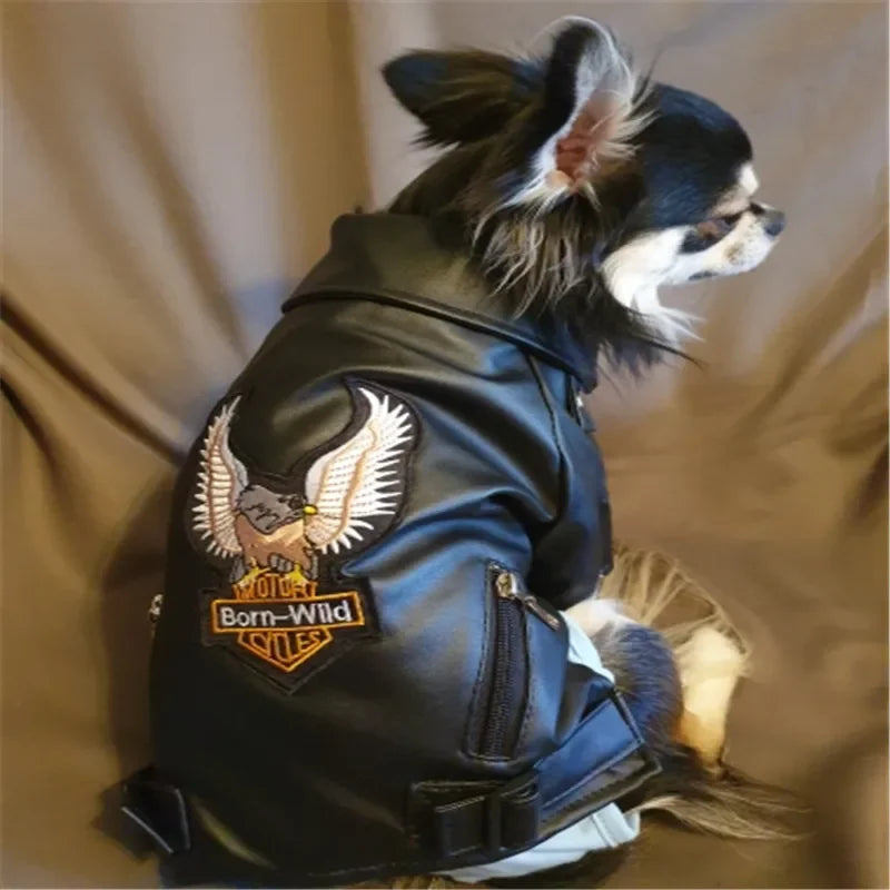 Glorious Eagle Pattern Dog Coat PU Leather Jacket Soft