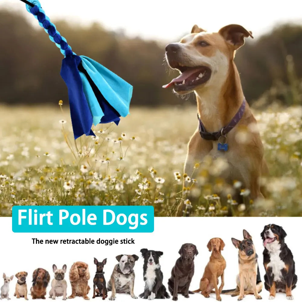 Dogs Flirt Lure Pole Stick Toys Pet Interactive