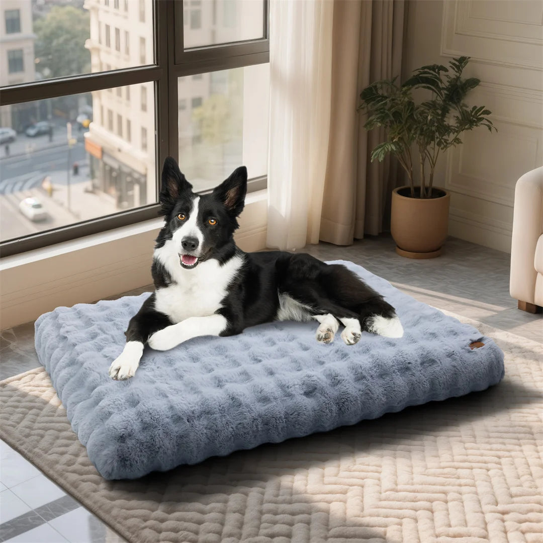 BINGOPAW Ultra-soft Dog Bed Pet Cozy Sleep Bed Cat Calming Bed
