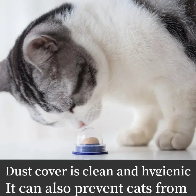 8 pcs Nutrition Cat Catnip Ball Dust Cover Round Safe Catnip Snack