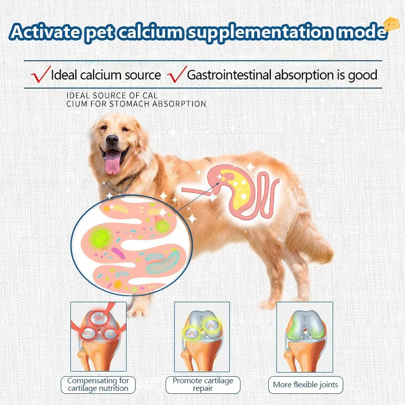 Pet Freeze-dried Food High Calcium Cheese Rich in Nutrients Cat