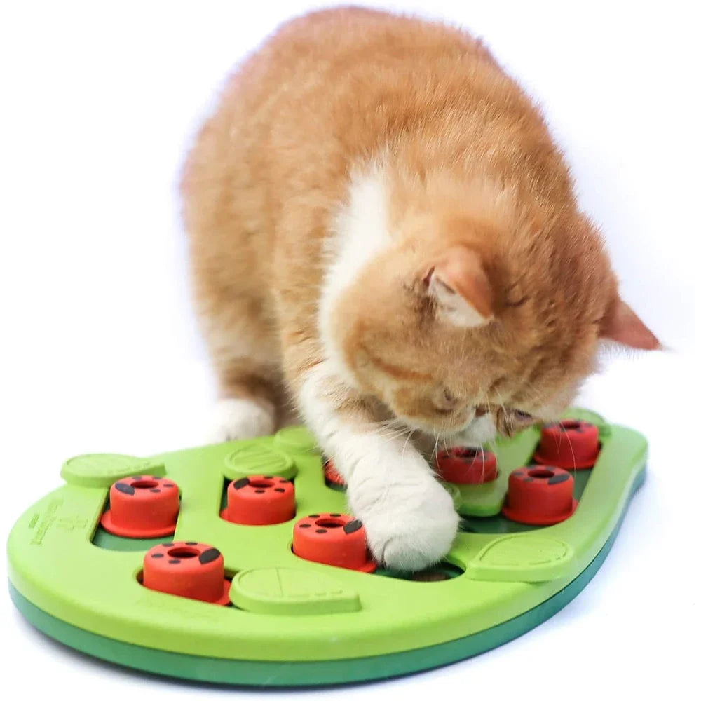 Rainy Day Puzzle & Play - Interactive Cat Treat Puzzle Cat Toys