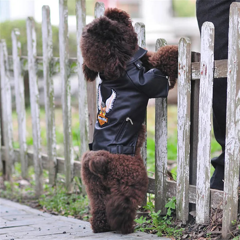 Glorious Eagle Pattern Dog Coat PU Leather Jacket Soft