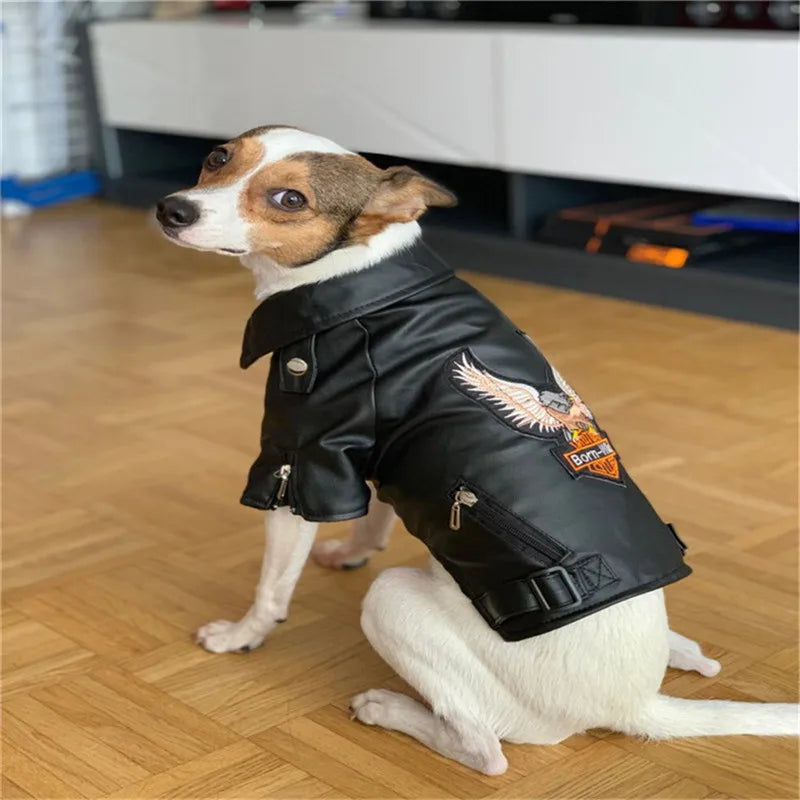 Glorious Eagle Pattern Dog Coat PU Leather Jacket Soft