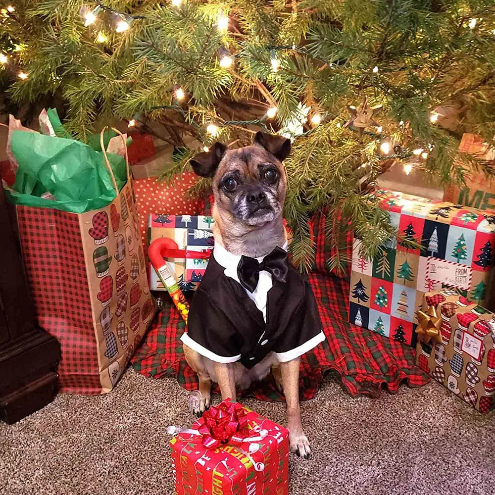 Dog Tuxedo Dog Suit Puppy Pet Tuxedo Wedding Party Costume