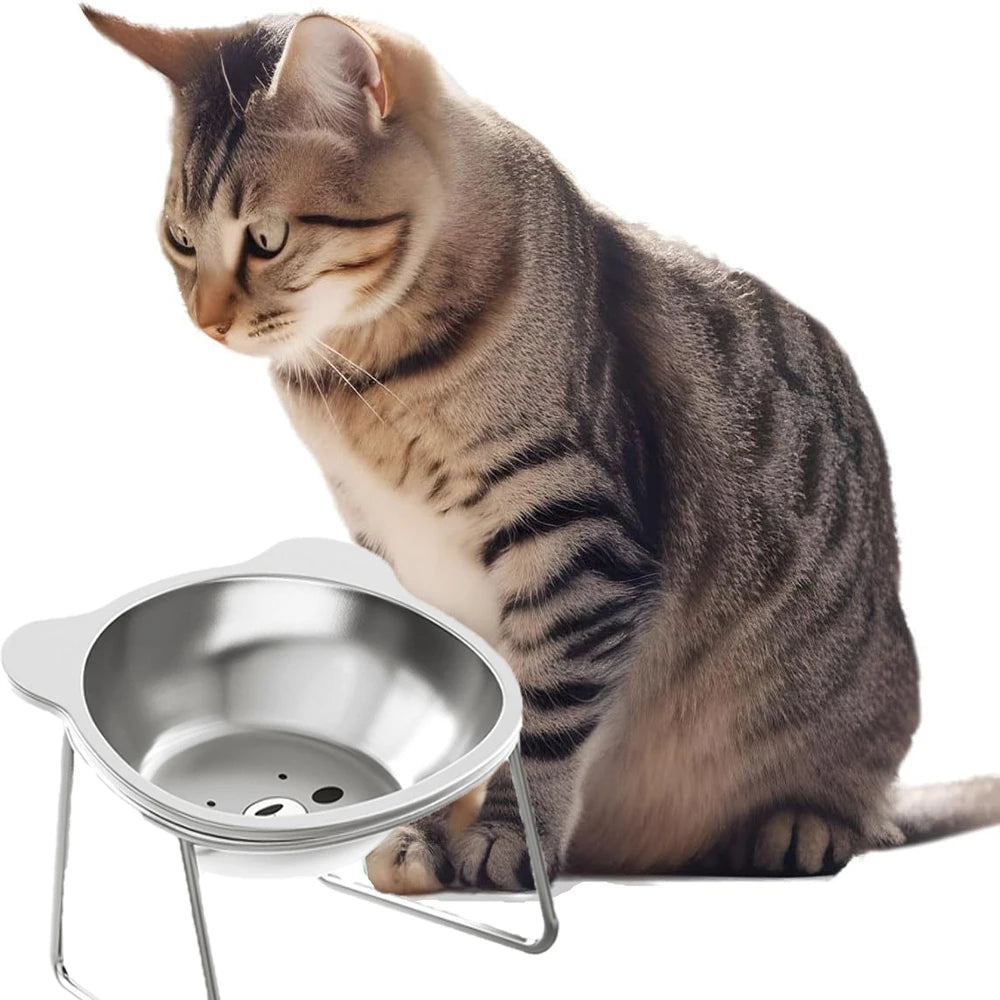 Cat Bowl Stainless Steel Cat Food Bowls with Metal Stand Food