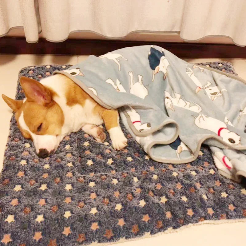 Soft Flannel Pet Mat dog Bed Winter Thicken Warm Cat Dog