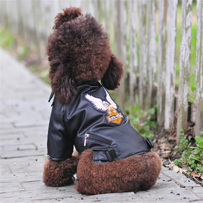 Glorious Eagle Pattern Dog Coat PU Leather Jacket Soft