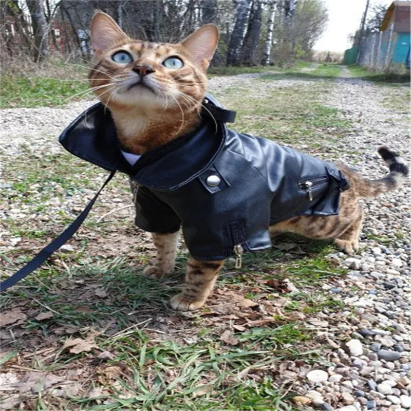 Glorious Eagle Pattern Dog Coat PU Leather Jacket Soft