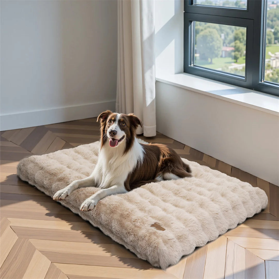 BINGOPAW Ultra-soft Dog Bed Pet Cozy Sleep Bed Cat Calming Bed