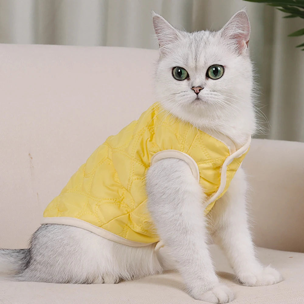 Macaron Color Cat Sweater, Warm Kitten Clothing Vest
