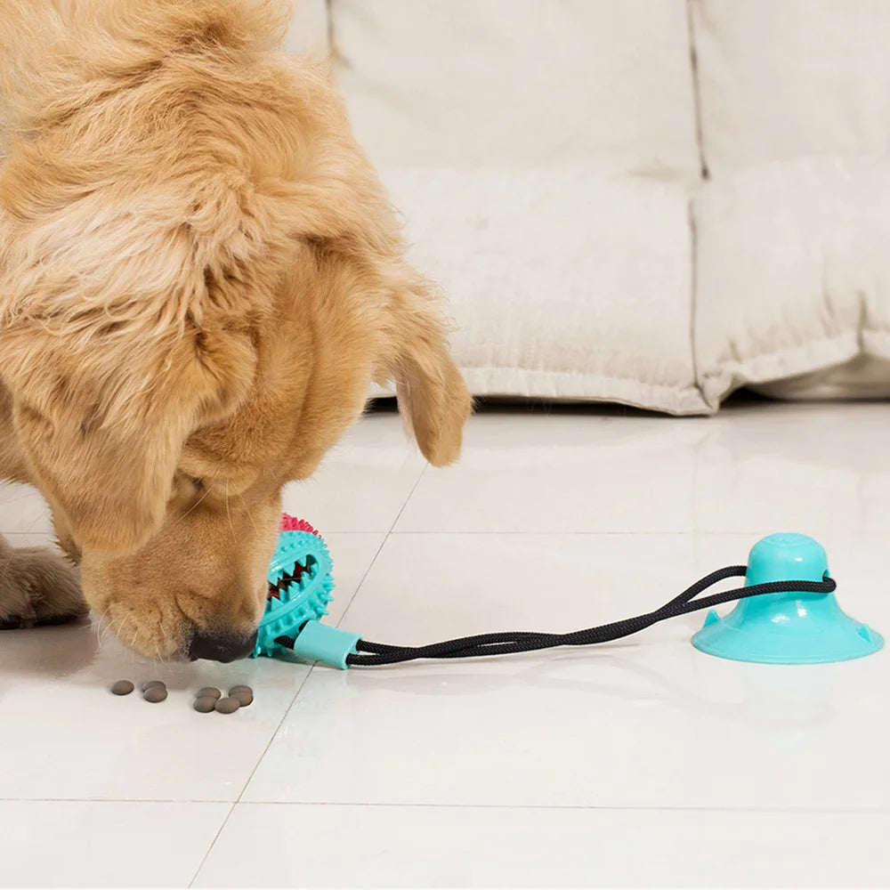 Dogs Food Toys Silicon Suction Cup Tug Interactive Dog Ball