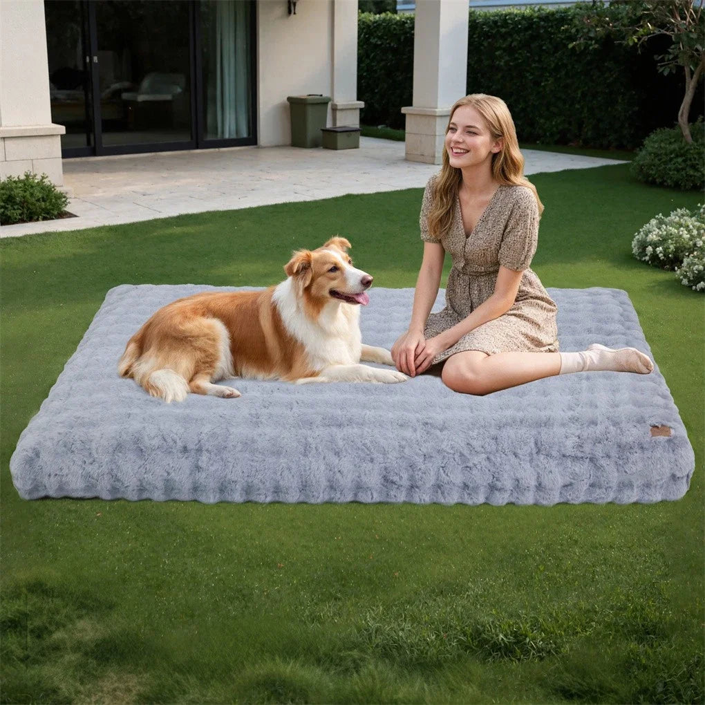 BINGOPAW Ultra-soft Dog Bed Pet Cozy Sleep Bed Cat Calming Bed